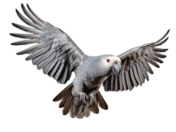 a bird is flying with its wings spread