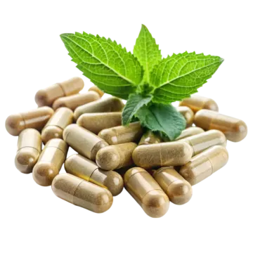 a pile of pills with a mint leaf on top