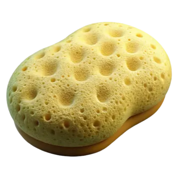a sponge on a white background