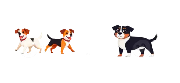 three dogs on a white background