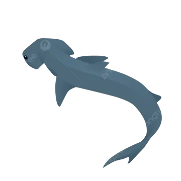 a shark silhouetted on a white background