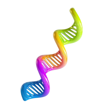 a 3d model of a dna molecule