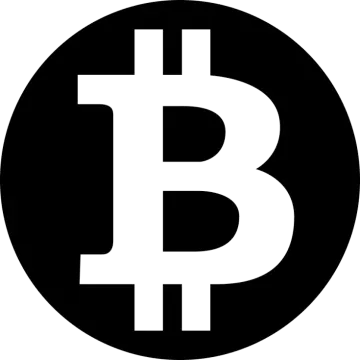 the bitcoin logo
