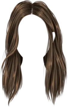 a drawing of a woman's hair