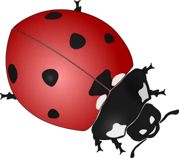a ladybug with black spots on it's back