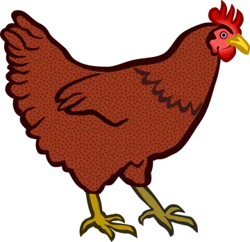 a chicken with brown spots on it's legs