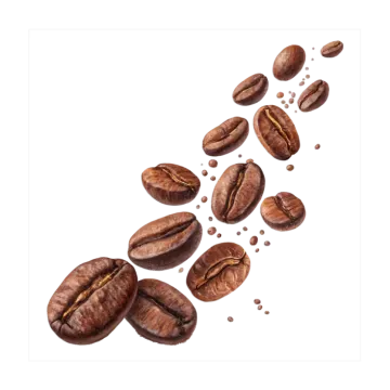 coffee beans falling on a white background