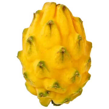 a close up view of a yellow fruit