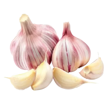 three garlics on a white background