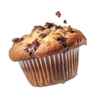 a chocolate chip muffin on a white background