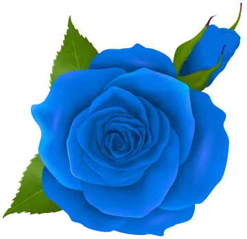 a blue rose with green leaves on it