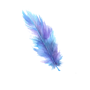 a watercolor feather on a white background