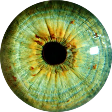 a close up view of an eye