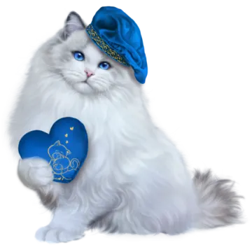 a white cat wearing a blue hat and holding a heart