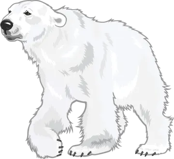 a polar bear standing on its hind