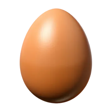 an egg on a white background