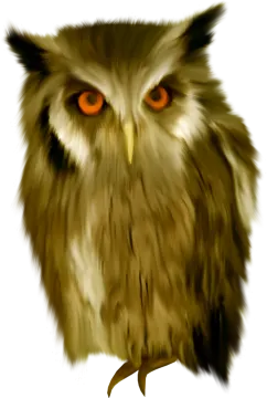 a drawing of an owl with orange eyes