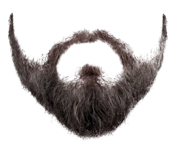 a man's beard with long hair