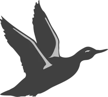 a black and white silhouette of a bird