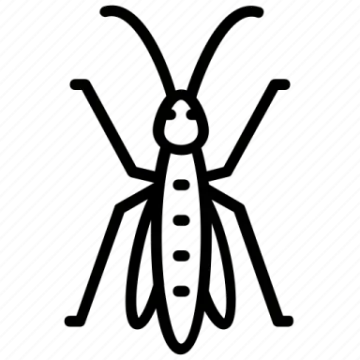 a black and white image of a bug