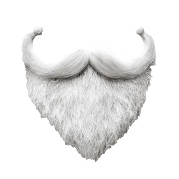 an illustration of a beard with long white hair