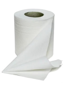 a roll of toilet paper on a white background
