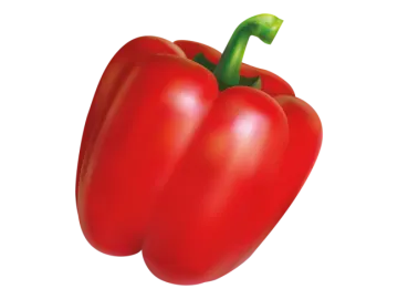 a red pepper on a white background