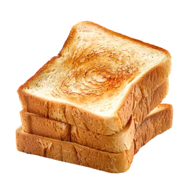 a piece of toasted bread