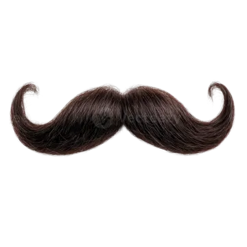 a brown mustache on a white background