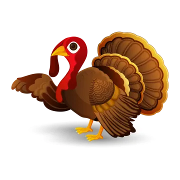 a turkey that is standing on the ground