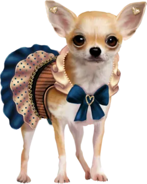 a small dog wearing a dress and bow tie