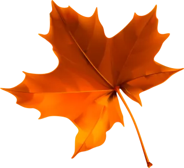 an orange maple leaf