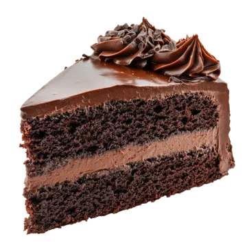 a piece of chocolate cake on a white background