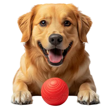 a close up of a dog playing with a ball