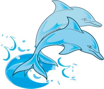 a dolphin jumping out of the water
