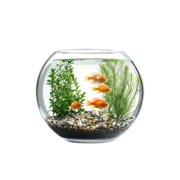 an aquarium with a goldfish in it