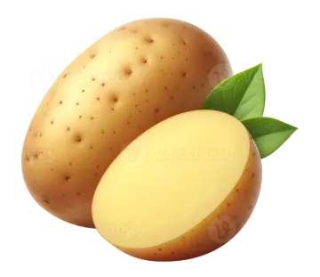 two potatoes with leaves on a white background