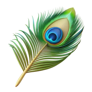a peacock feather on a white background