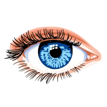 a blue eye with long eyelashes