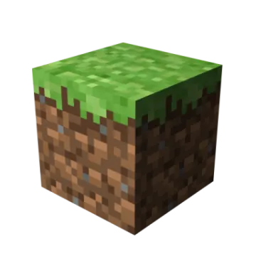 an image of a minecraft block