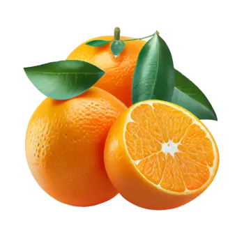 two oranges with leaves on a white background