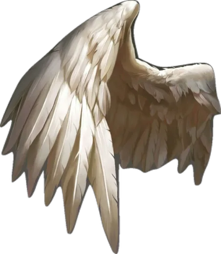 a drawing of an angel wing