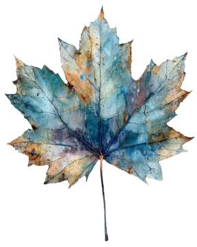 a watercolor painting of a maple leaf