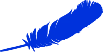 a blue feather on a white background