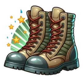 an image of a pair of combat boots