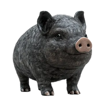 an illustration of a pig