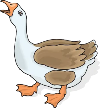 a duck with brown and white feathers