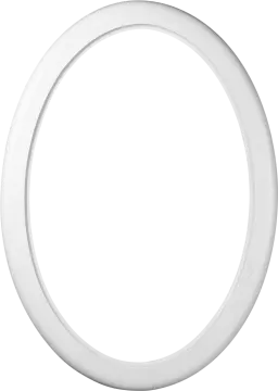 an image of a white plastic ring