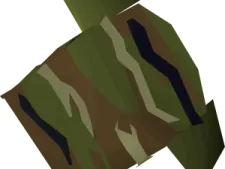 a green and brown camouflage jacket