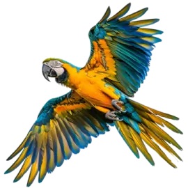 a blue and yellow parrot flying in the air